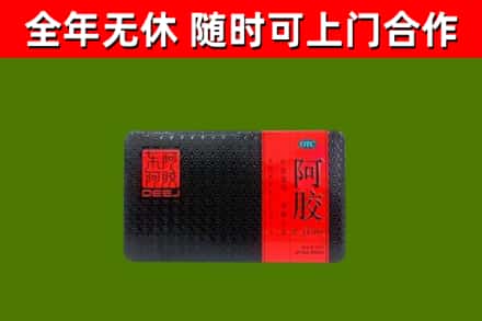 永仁回收阿胶